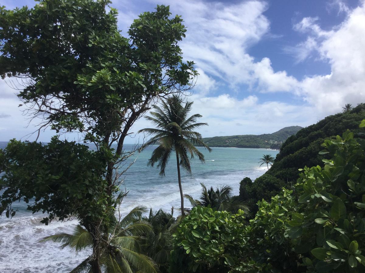 Petite Anse Hotel Mount Alexander Exterior photo