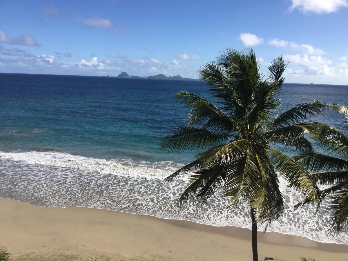 Petite Anse Hotel Mount Alexander Exterior photo